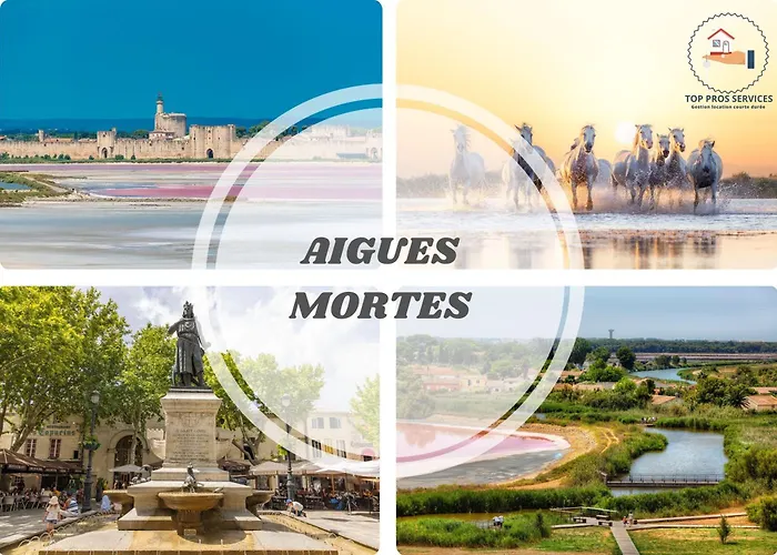 Le Sunrise Vue Mer Acces Plage- Spacieux-2 Terrasses-Wifi - Confort -Top Pros Servicesconciergerielagrandemotte